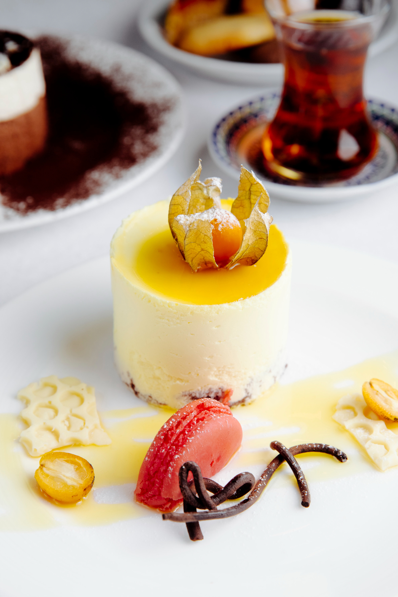 Dessert composto da mousse bianca, salsa di frutta e decorazioni di frutta su un piatto bianco.